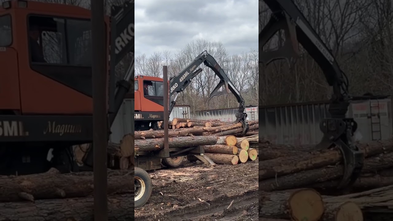 Can you Smell that Pine!?  #mack #logging
