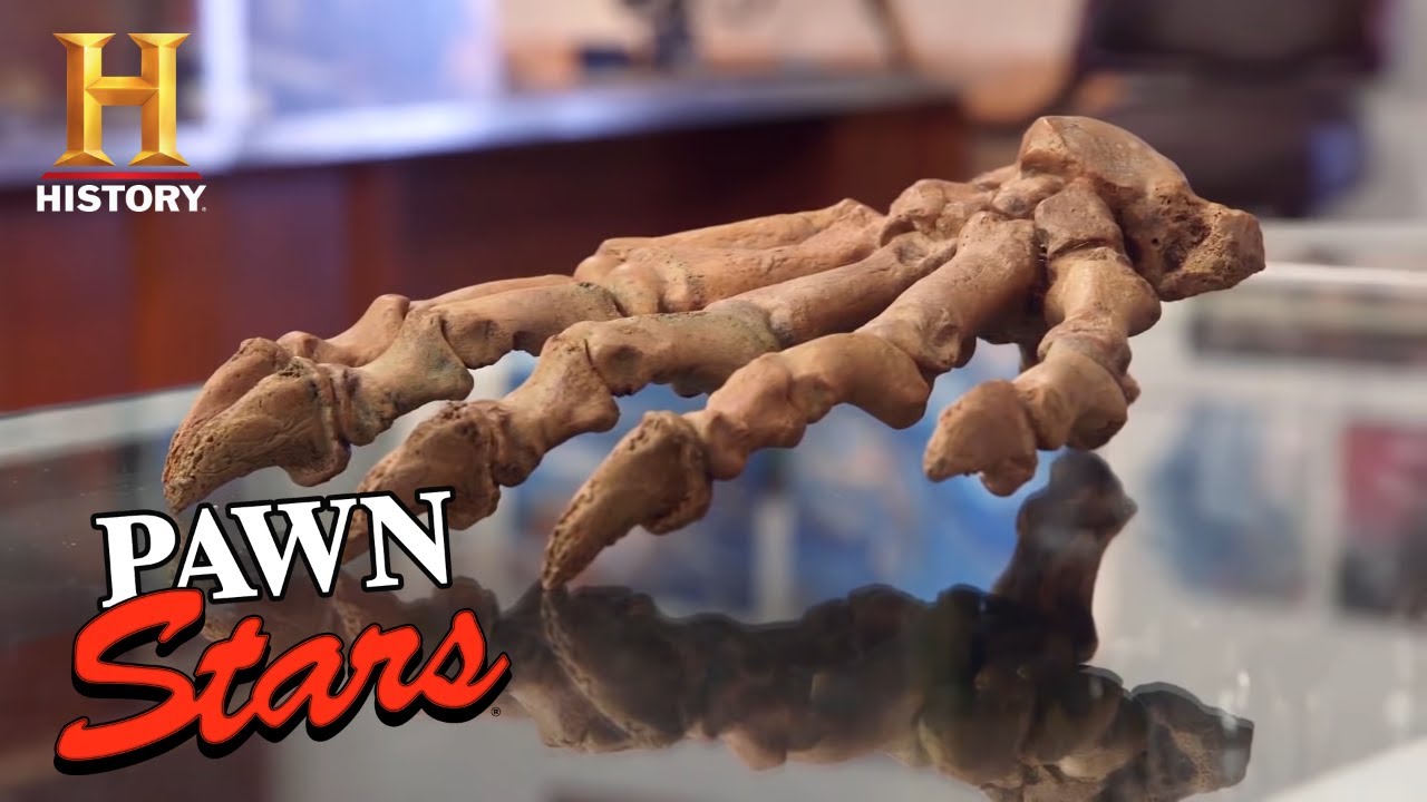 TOP PREHISTORIC PAWNS (3 Old, Rare & Expensive Items) | Pawn Stars