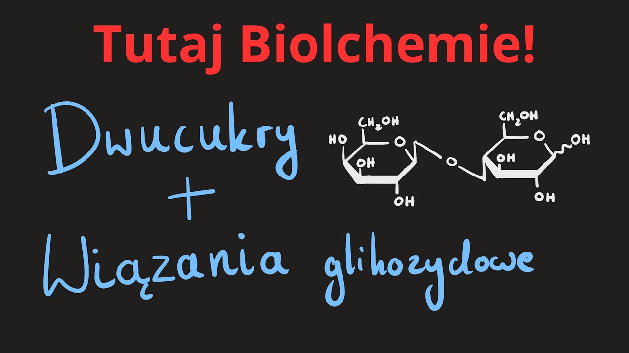 Dwucukry, wiązania glikozydowe i inne opowieści dla biolchemów