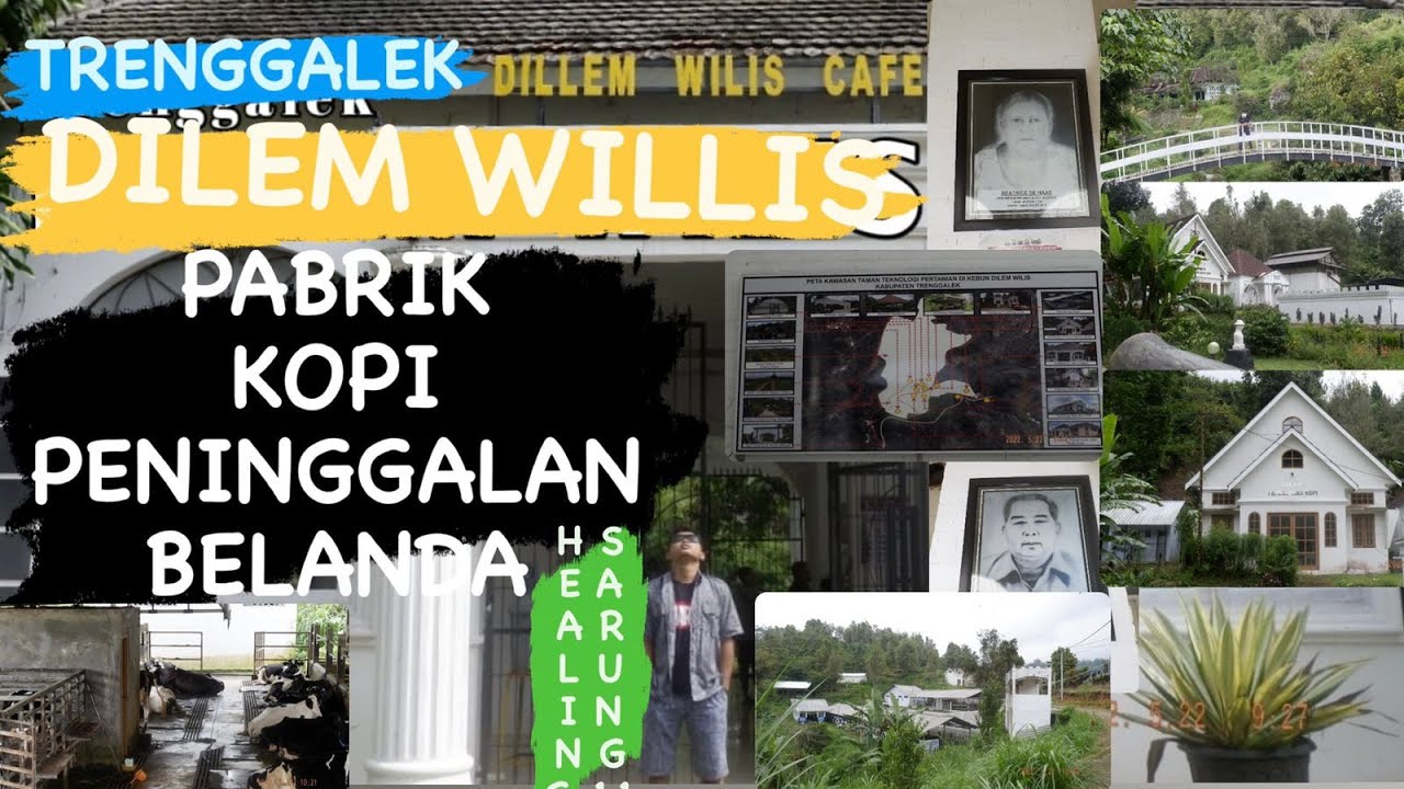 Wisata Kuliner Kopi Dillem Wilis Trenggalek // yang katanya pabrik kopi peninggalan Zaman Belanda.