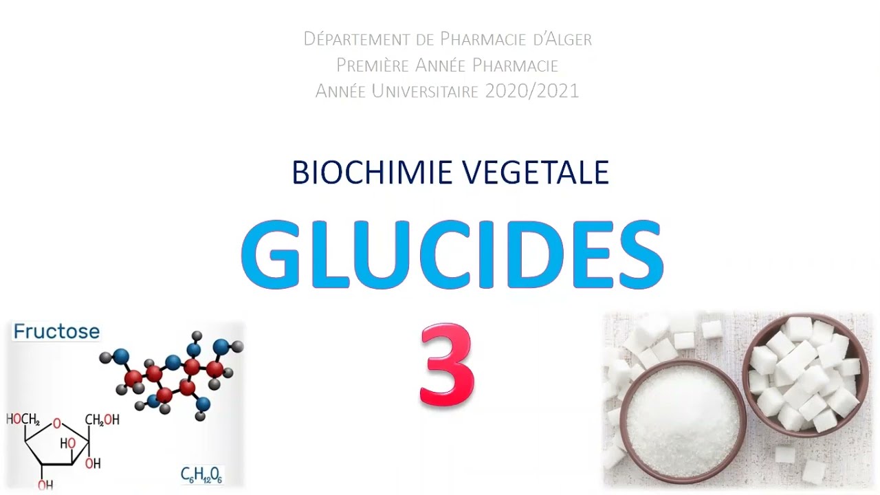 📍 Glucides OSIDES | Botanique #E9ra_berk