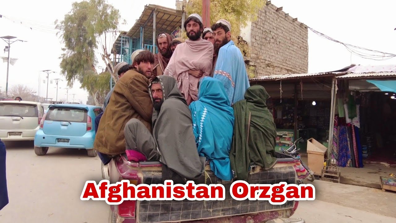 ولایت ارزگان ترین کوت | نمی‌خواستم این گزارش را نشر کنم