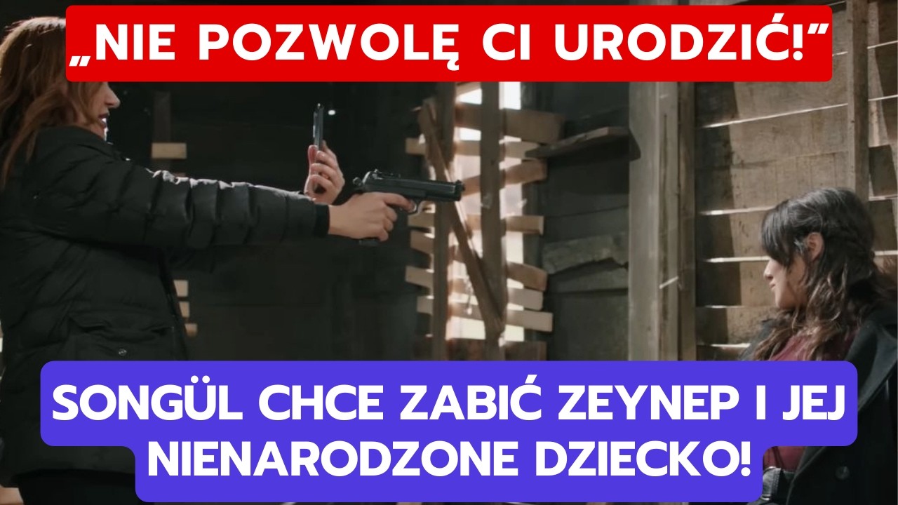 WICHROWE WZGÓRZE, ODCINEK 366-367: SONGÜL CHCE ZABIĆ ZEYNEP I JEJ NIENARODZONE DZIECKO!