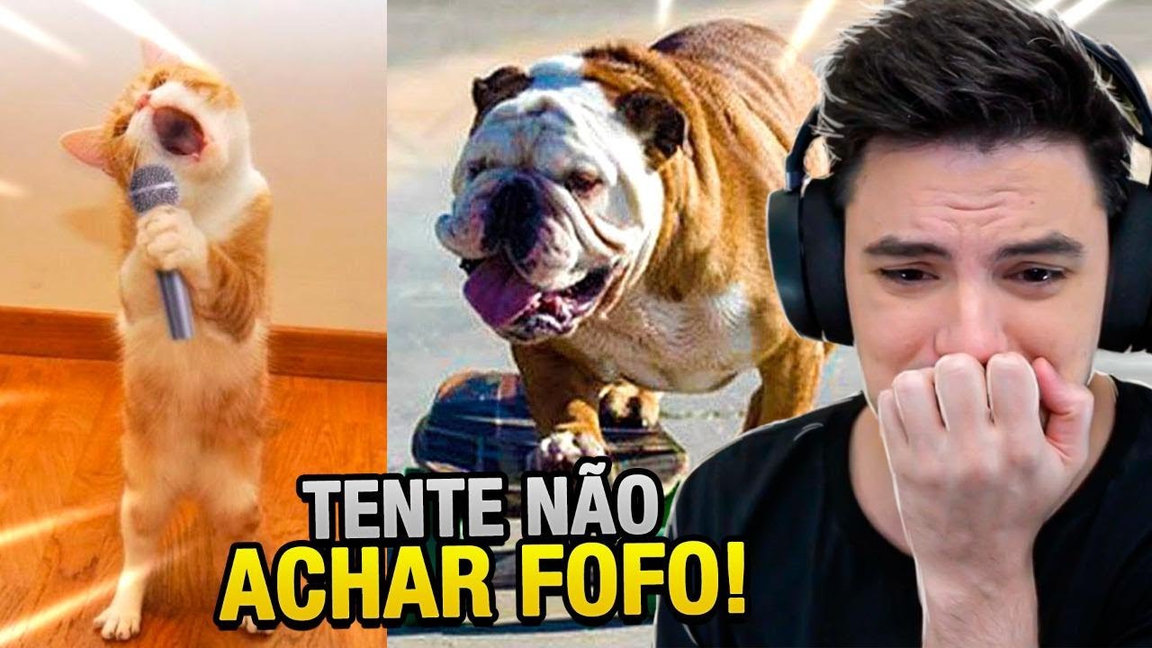 TENTE NÃO ACHAR FOFO!