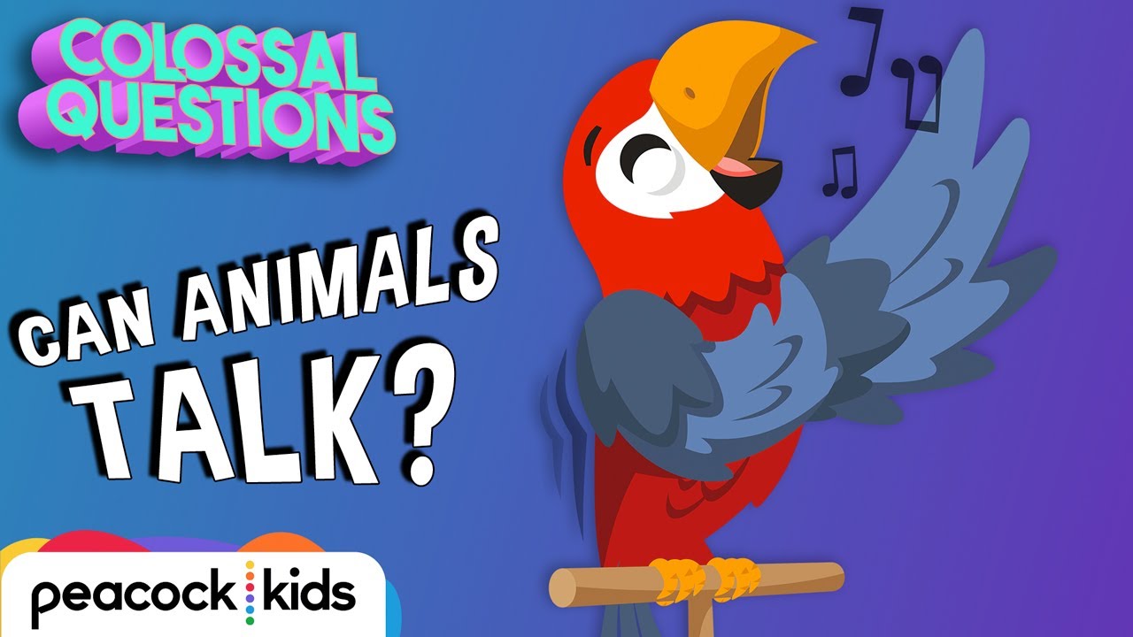 Can Animals Talk To Each Other? | COLOSSAL QUESTIONS