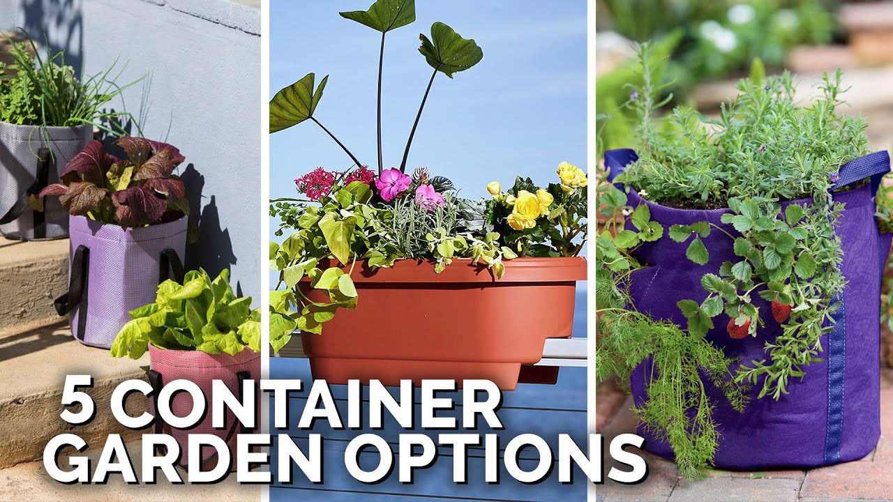 5 Container Gardening Options for Apartment Gardeners