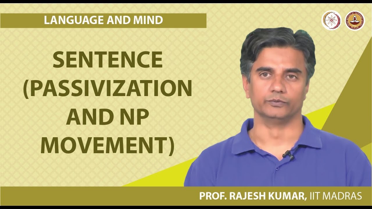 Sentence (passivization and NP movement)