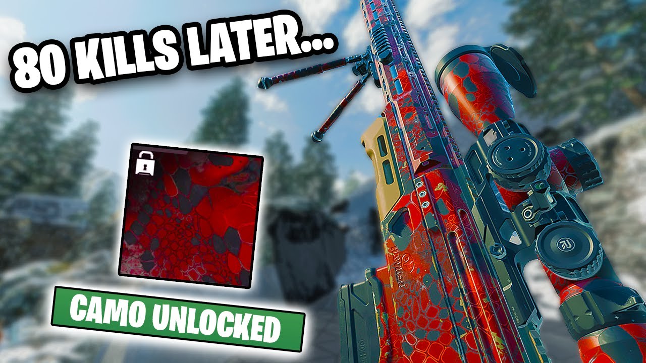 80 сбитых одним выстрелом целей спустя… Полный комплект военной камуфляжной расцветки для Hawker HX.