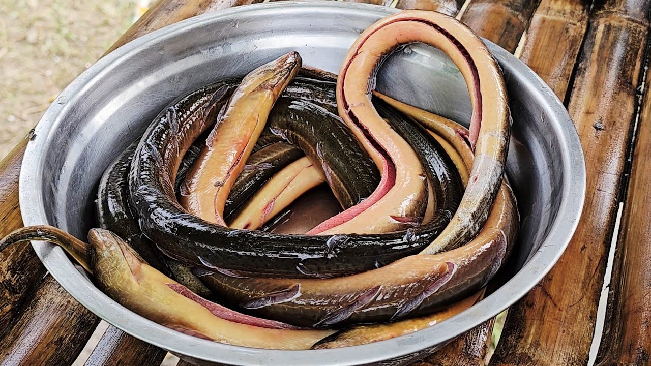ADOBONG KIWIT SA GATA | PAGKAING BUKID | OUTDOOR COOKING |Team AgustinTV