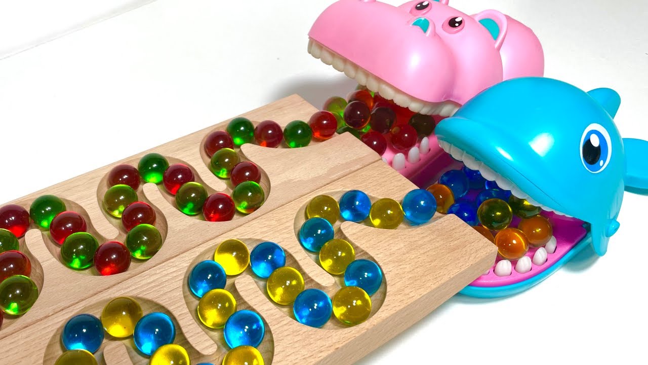 Marble Run Race ☆ HABA Wave Slope & Crocodile & Dolphin & ASMR