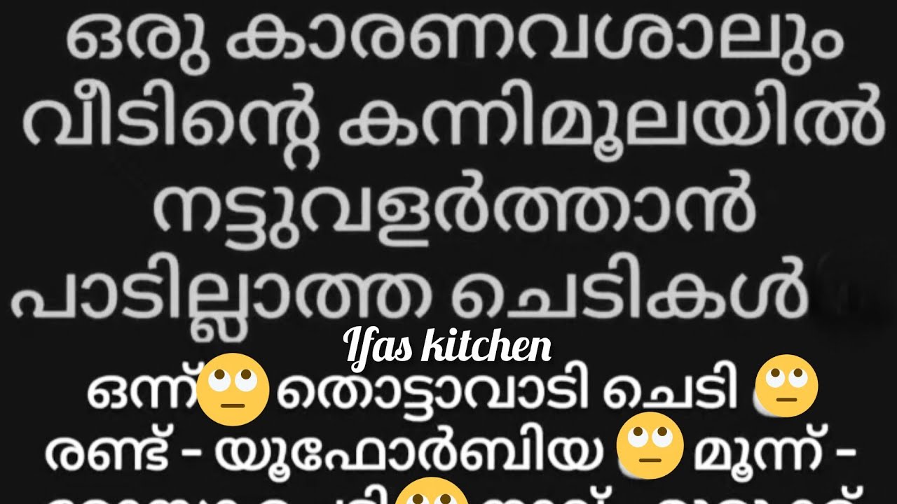 ifas kitchen is live