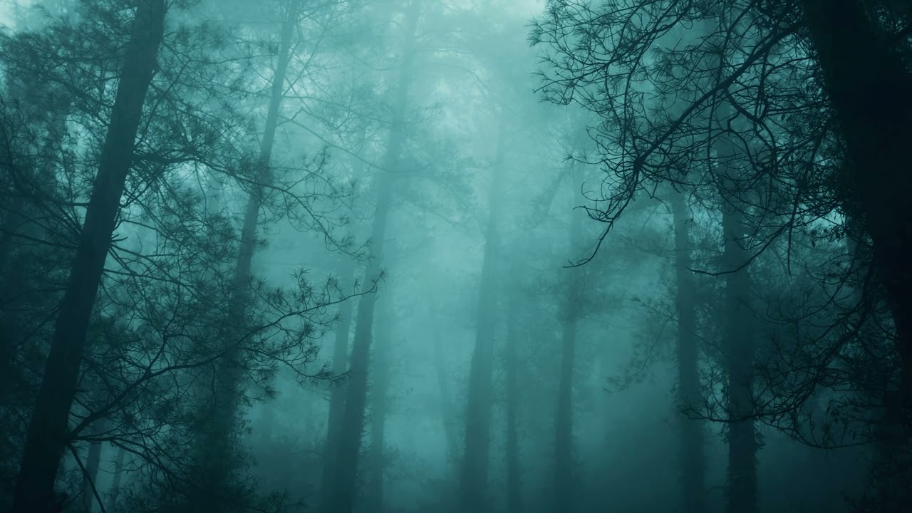 the trees will breathe with me