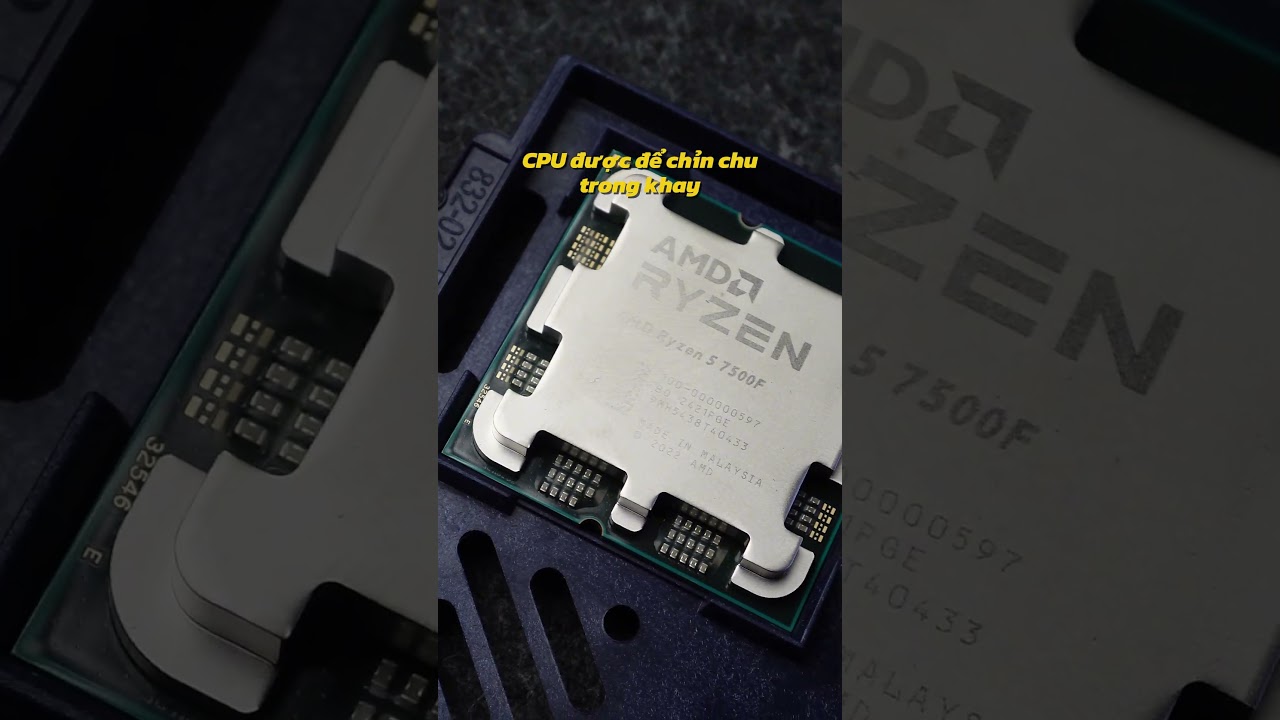 TITEK bán CPU Tray ??? 