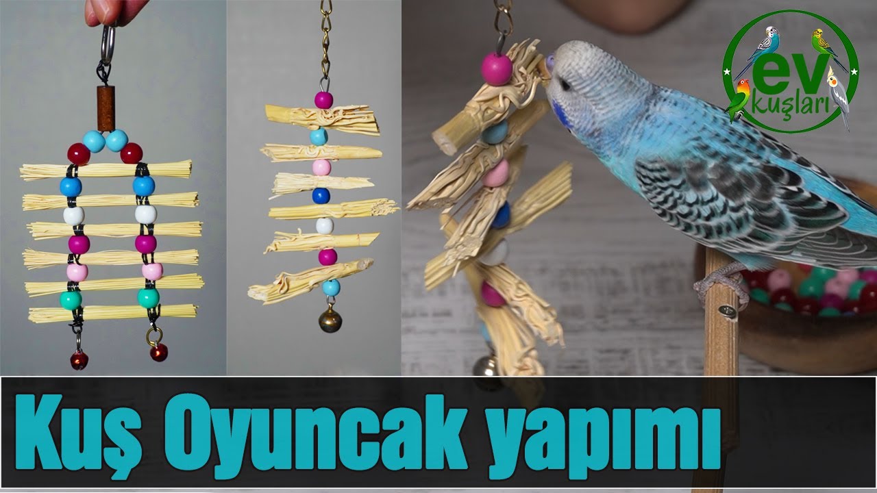 Muhabbet kuşu oyuncak Yapımı, Çalı Süpürgesinden  Doğal  Kuş Oyuncağı Yapımı
