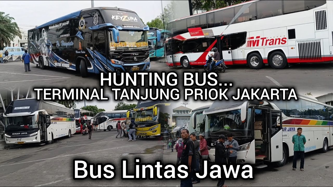 Hunting Bus Di Terminal Tanjung Priok Jakarta Utara !! Mtrans,PO Haryanto,Sinarjaya,MurniJaya,dll