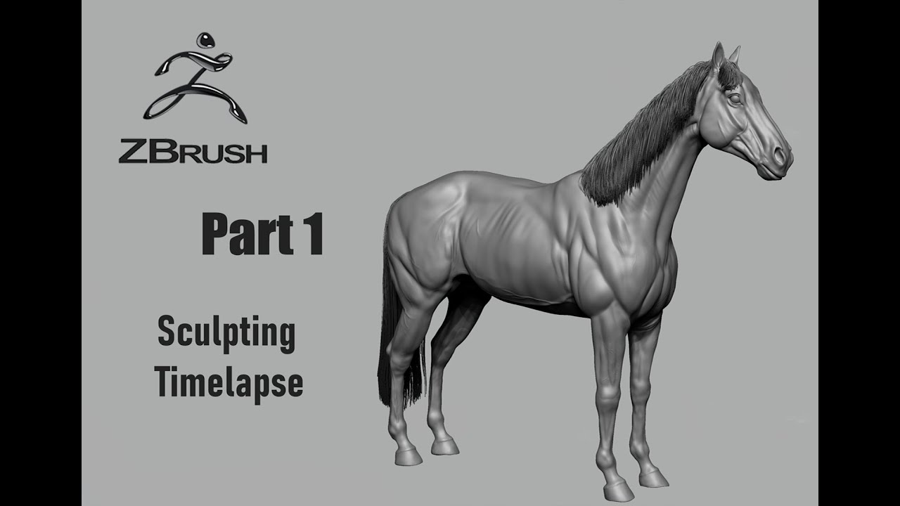 Zbrush timelapse - Horse Part 1 - Sculpting 3x speed