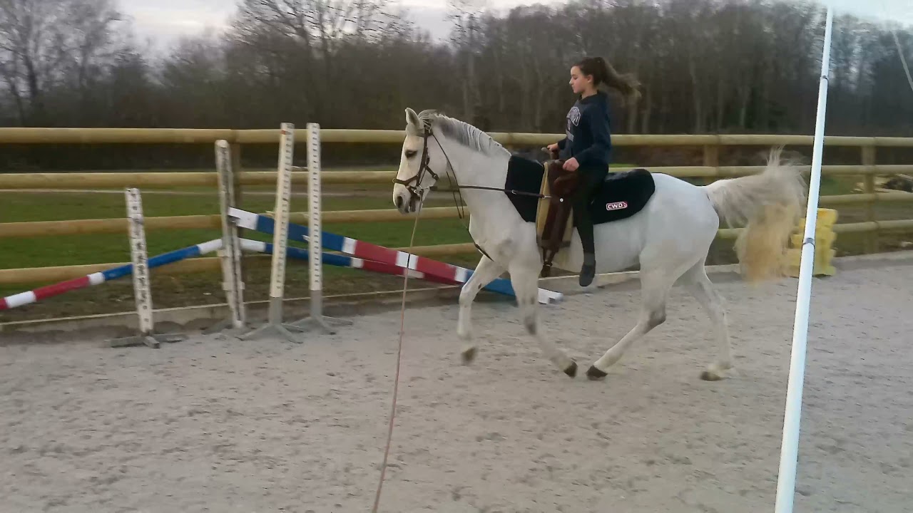 galop 3 voltige