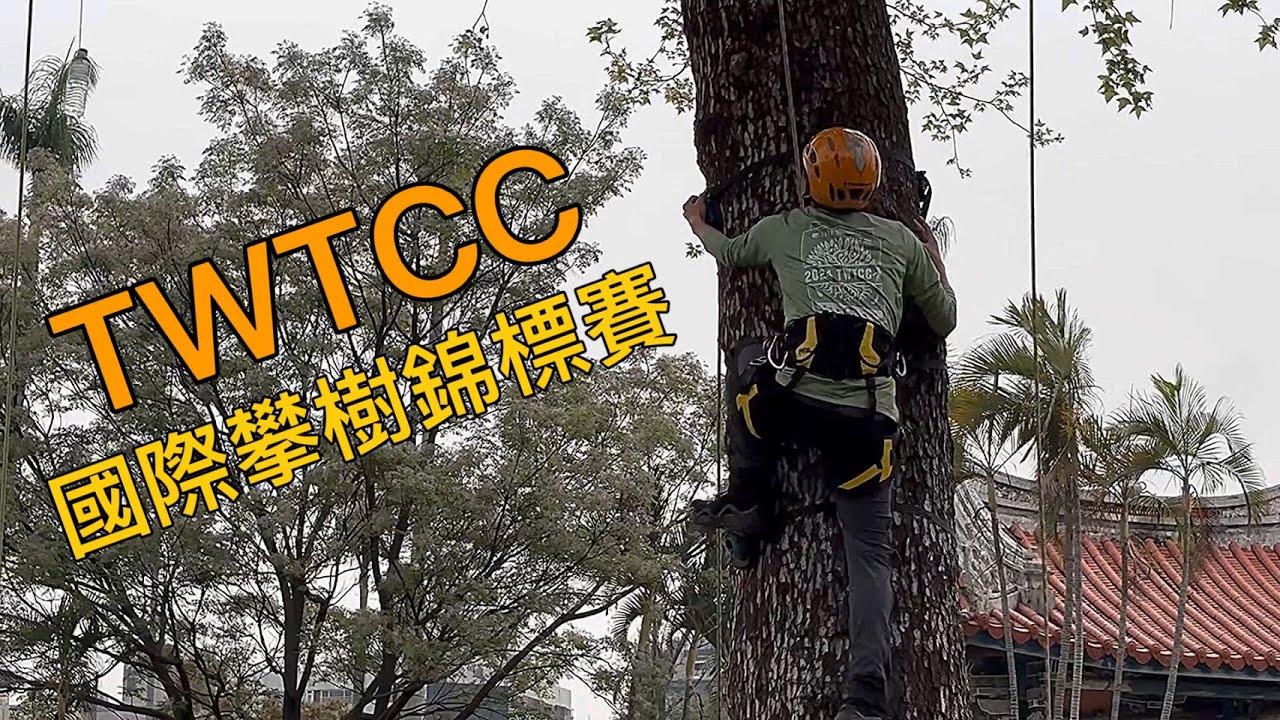 2024 TWTCC 國際攀樹錦標賽 場地花絮