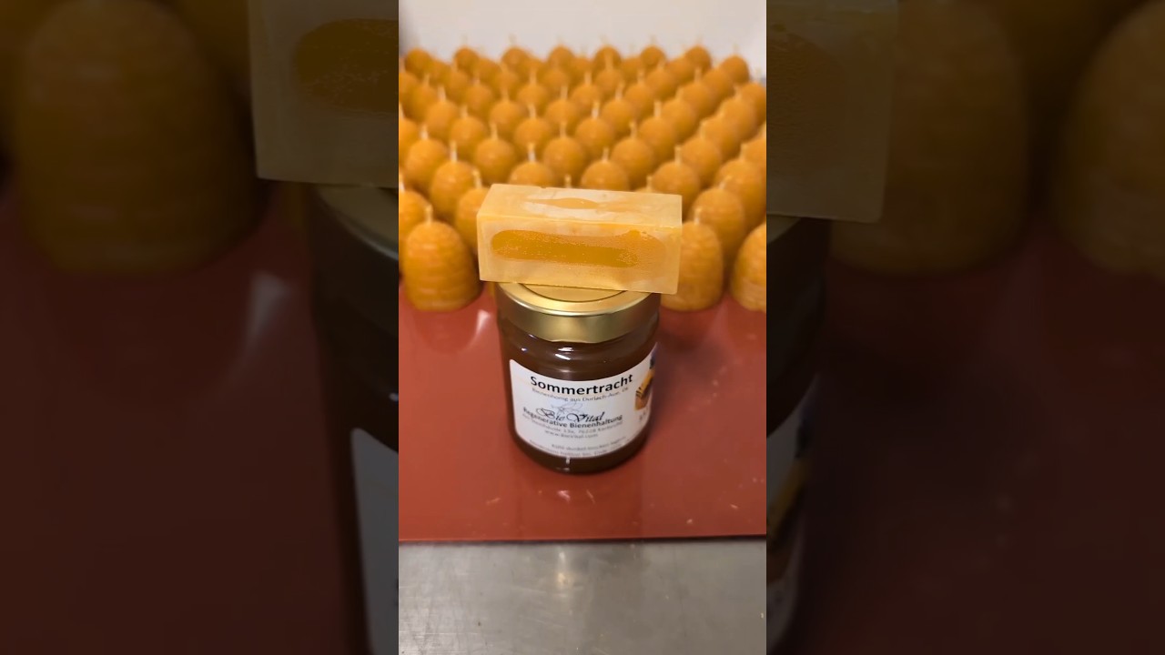 Wer gewinnt den Honig? 🍯🙂