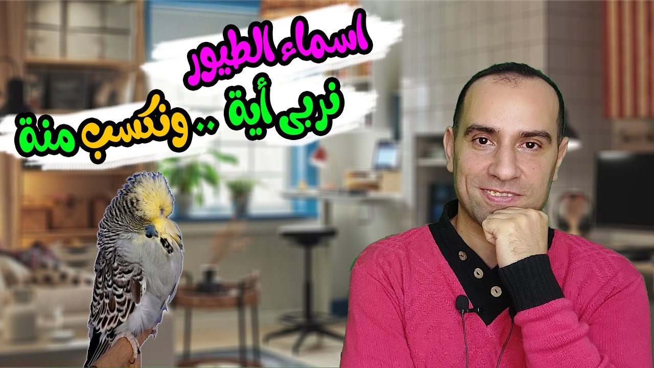 أشهر طيور بيع وطلباً فى السوق