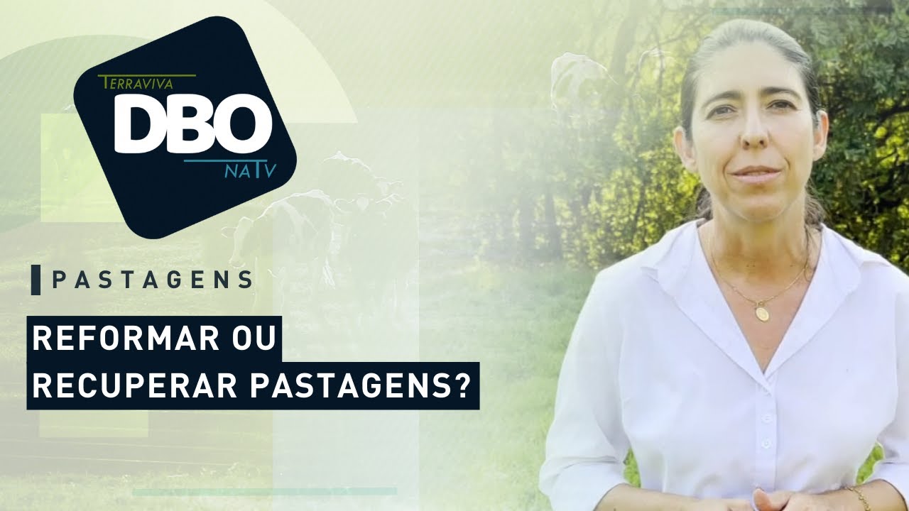 Reformar ou recuperar pastagens?