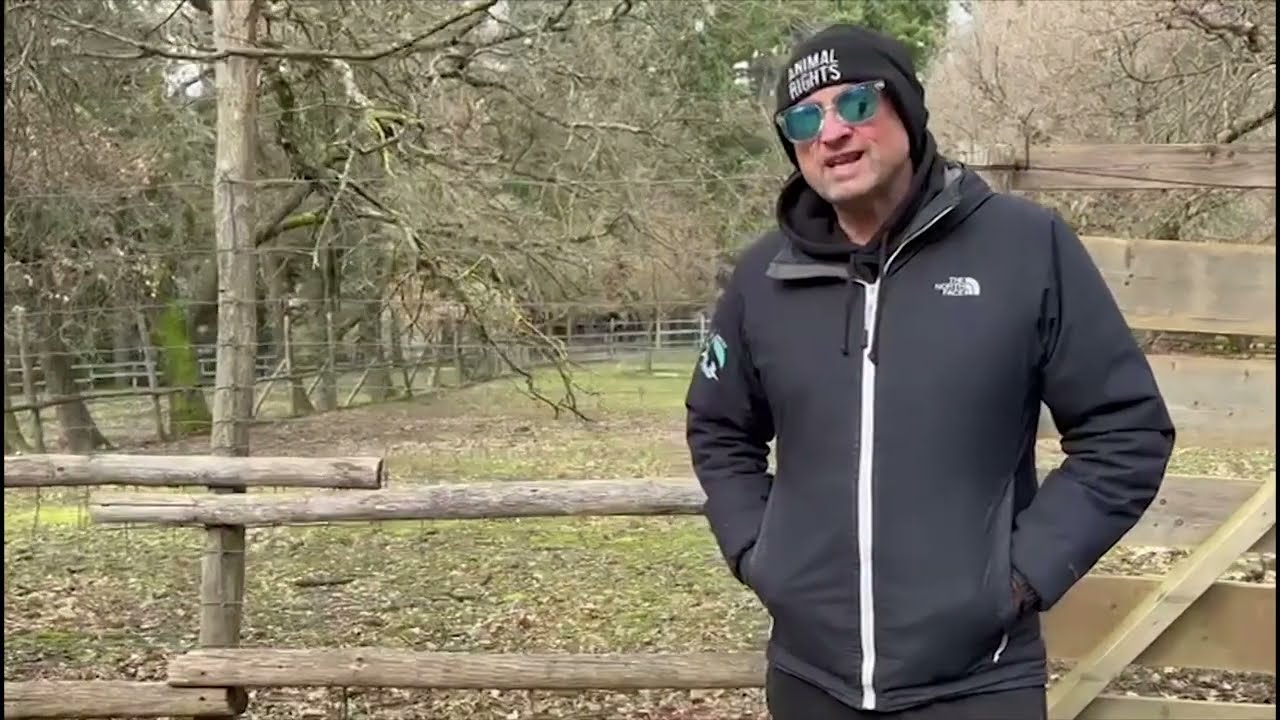 Dalla Rete Santuari Animali liberi un appello per la cerva e per il futuro del Parco di Lignano