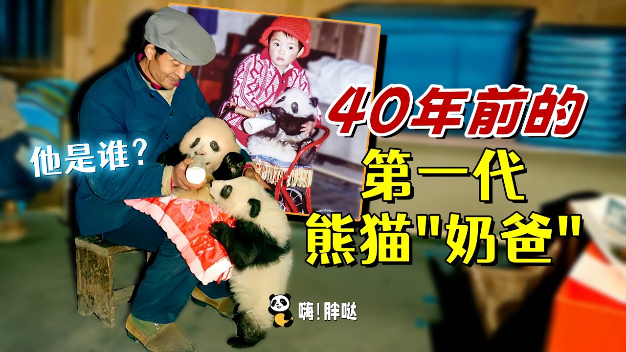 把大熊猫养在家里，喂大盼盼和安安，和跷远一起拍纪录片，后代继续保护熊猫，40年前的第一代熊猫奶爸、老猎人李武科的故事。