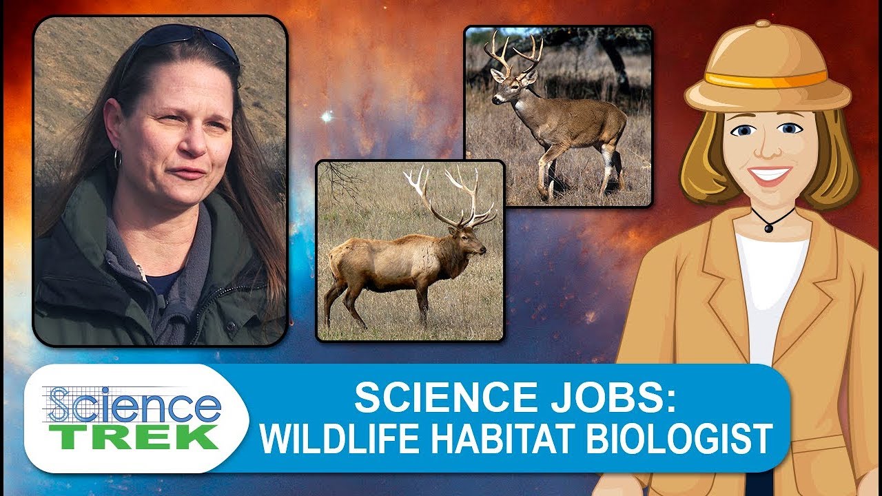 Science Jobs: Wildlife Habitat Biologist | Science Trek