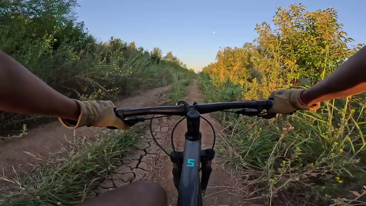 Buying, Riding, and Crashing my first Mountain Bike (Trek Marlin 5) - 4K