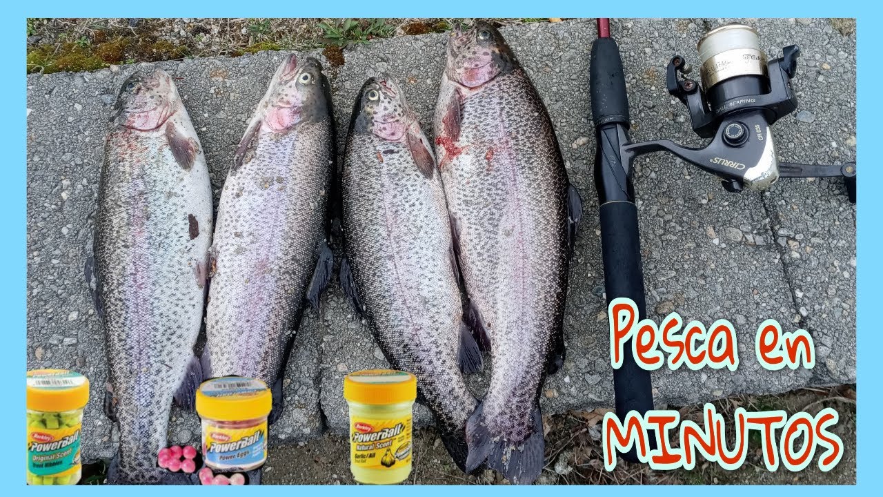 Como Pescar truchas, arcoiris! facil.*con equipo ligero.  en lagos, lagunas, rios  .truchas jigantes
