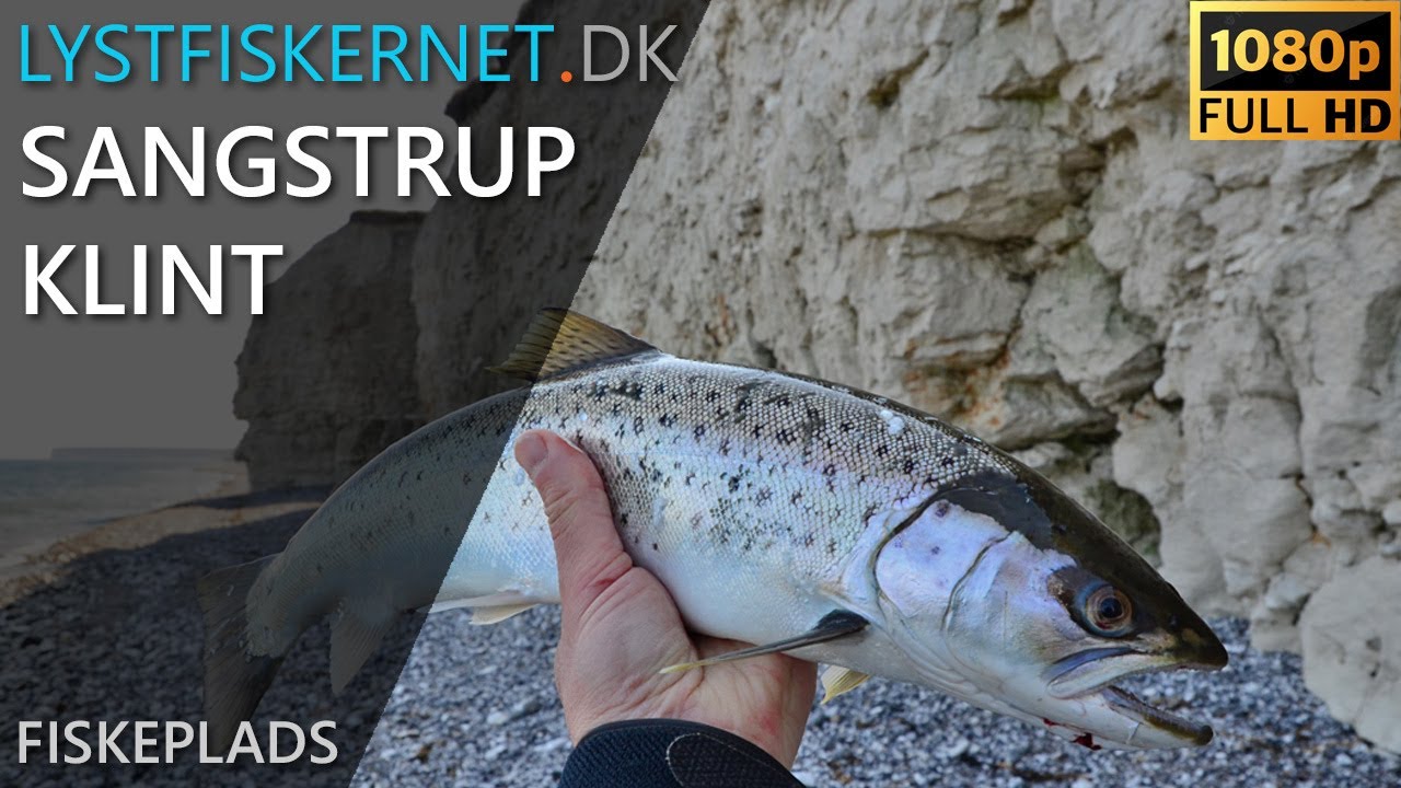 Sangstrup Klint - Unik fiskeplads på Djursland