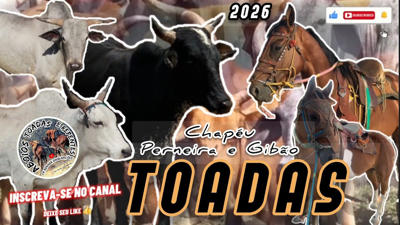 Toadas Chapéu Perneira & Gibão,  Onde Tudo Começou  - Aboios Toadas e Repentes
