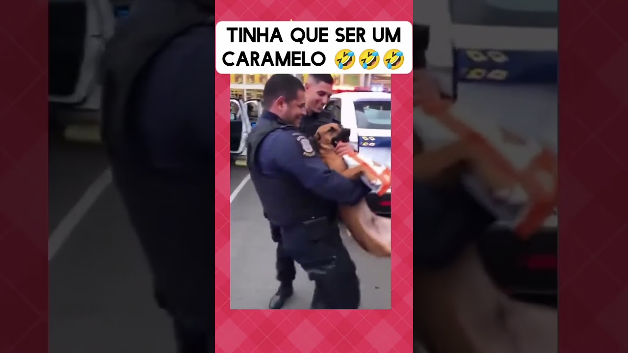 caramelo foi preso por roubar ra&ccedil;&atilde;o