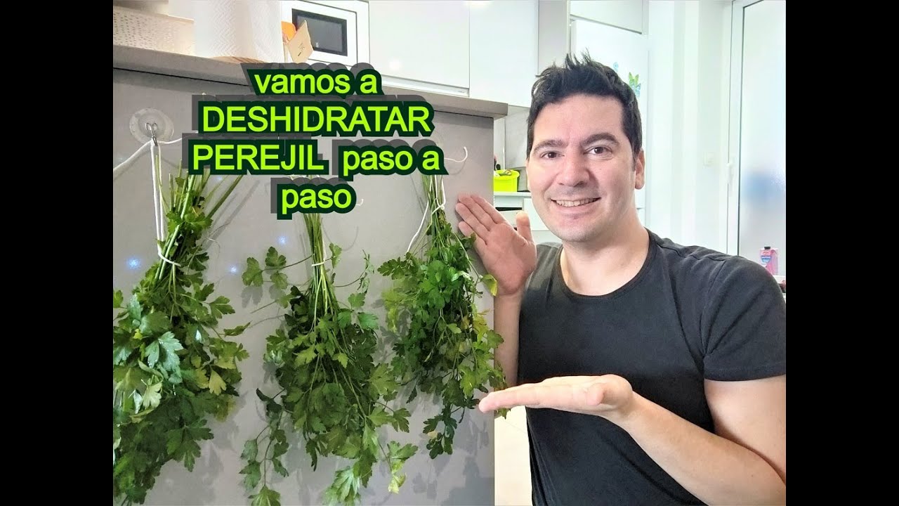 COMO DESHIDRATAR PEREJIL PASO A PASO 🌿 SECAR PEREJIL 🌿CONSERVAR PEREJIL DESHIDRATADO O SECO