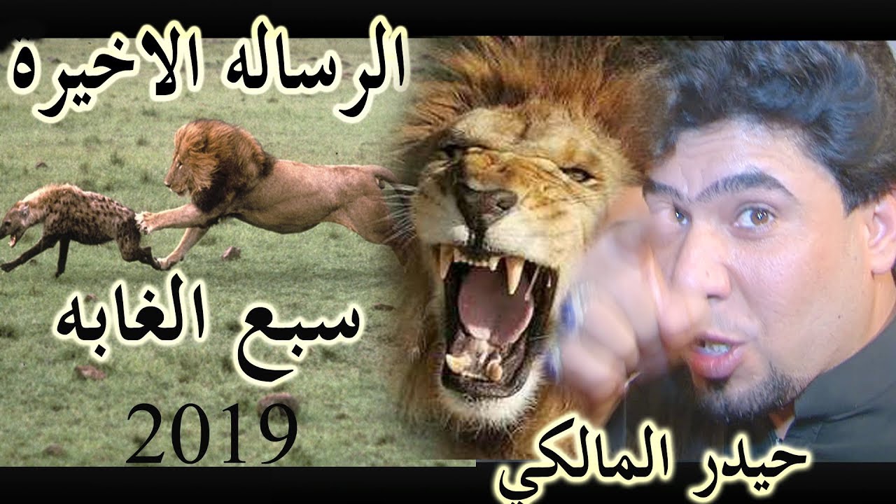 شاهد الرساله الاخيره زماط حيدر المالكي سبع الغابه الجزء الرابع و الاخير 2019