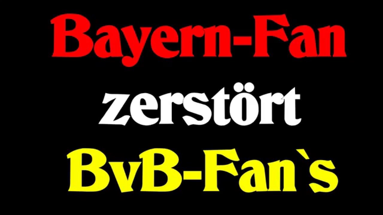 Bayern Fan zerstört BvB Fan`s