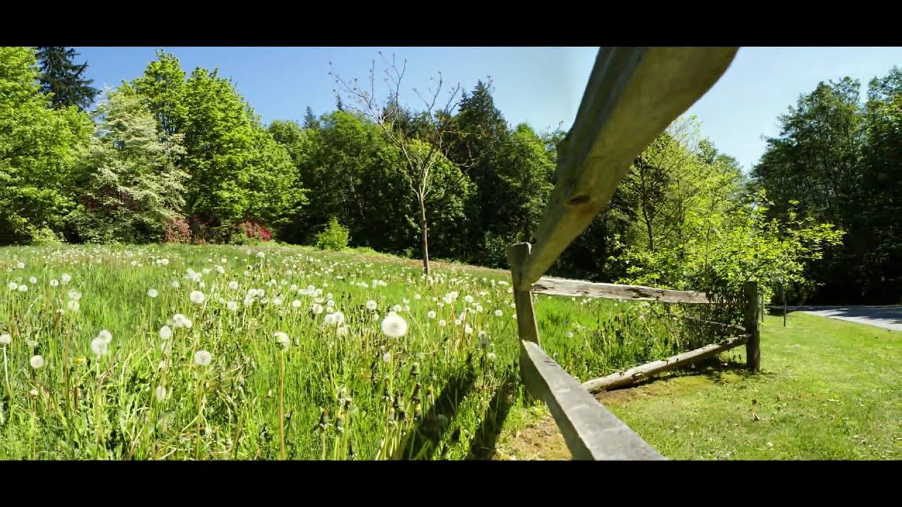 Best Panoramas of Vancouver