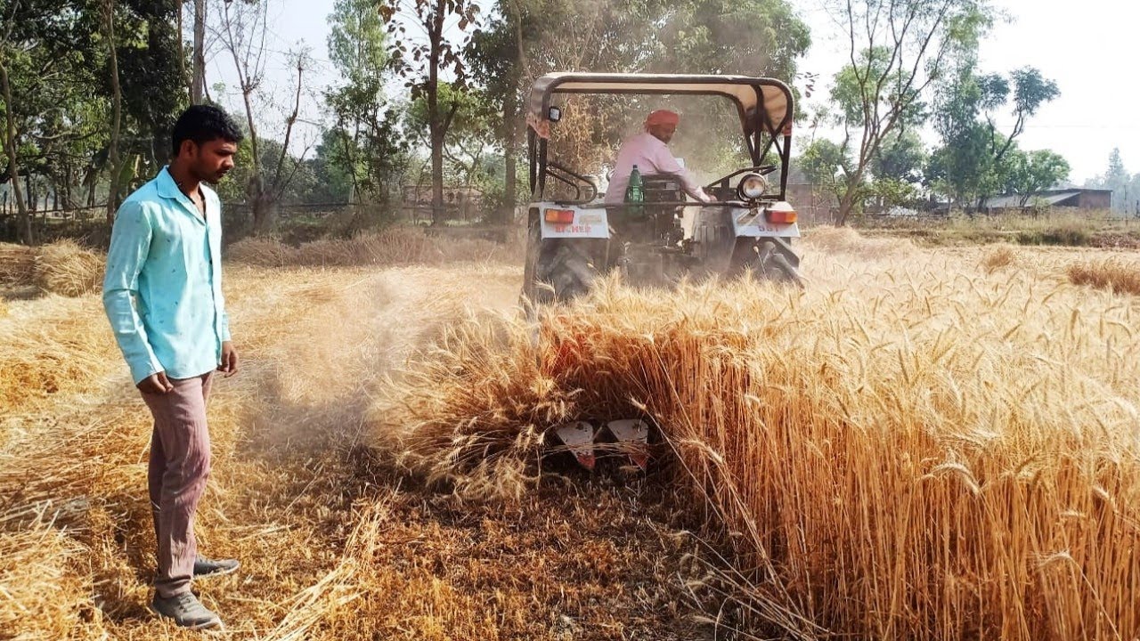 Tractor Back Mounted Reaper Machine झक्कास रीपर मशीन