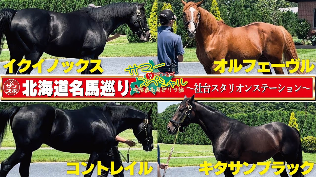 【名馬巡りの旅】コントレイル、キタサンブラック、オルフェーヴル、イクイノックス…人気種牡馬に会ってきた!