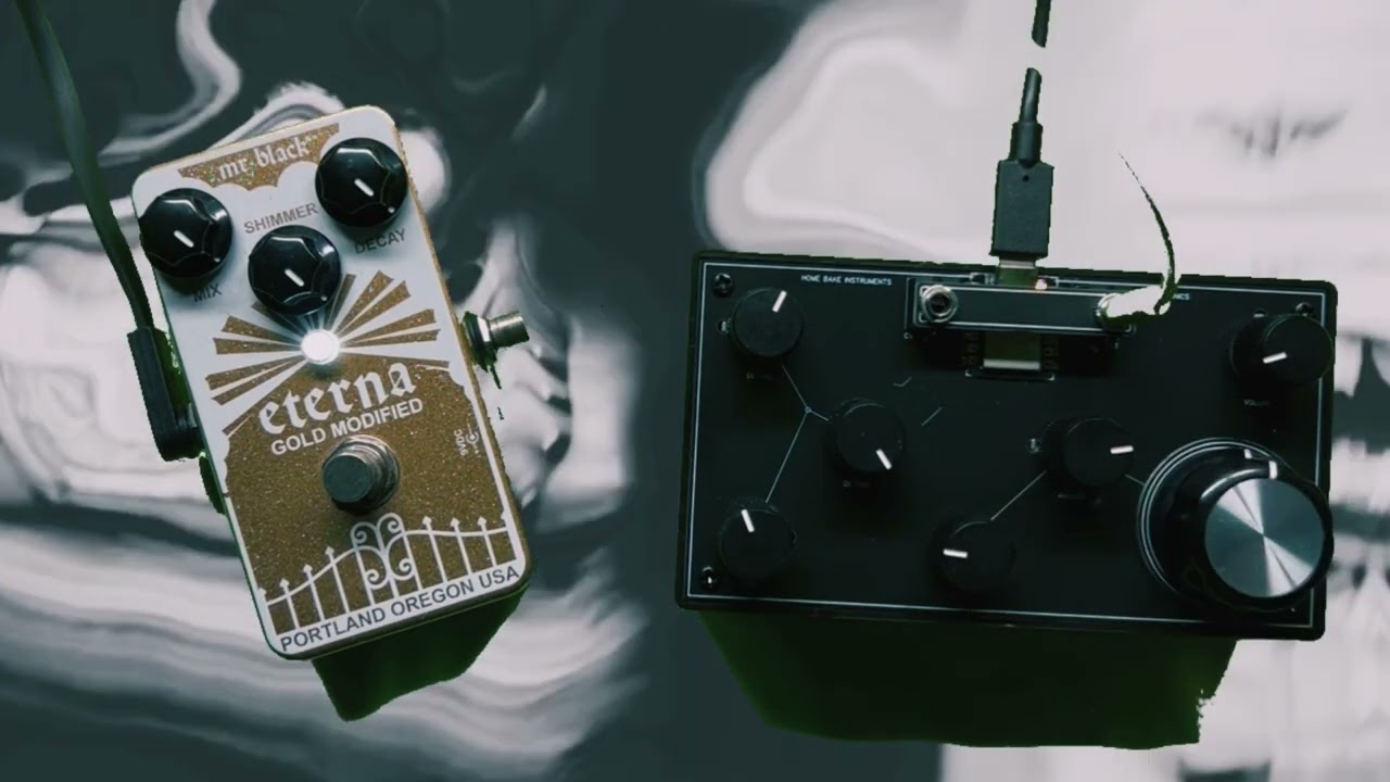 HOME BAKE INSTRUMENTS HARMONICS + Mr.black eterna gold modified