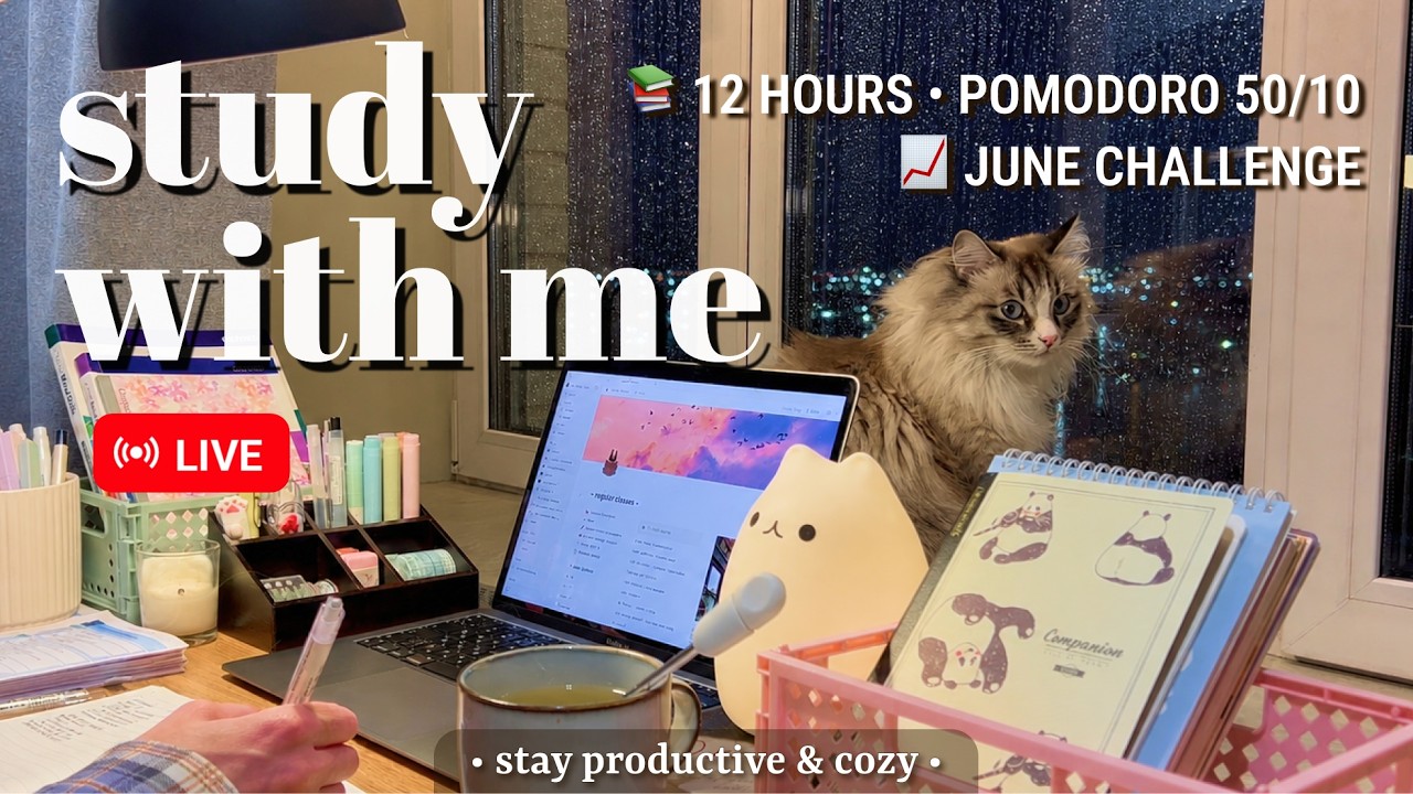 Challenge | 12 HOURS &bull; Study With Me ☔️ Pomodoro 50/10 &bull; Fireplace Sound for Best Focus