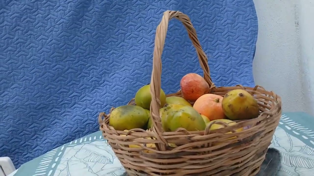 #VIVO RODEADA DE COISAS QUE GOSTO#A ESCADA DA LAJE JA COMEÇOU 