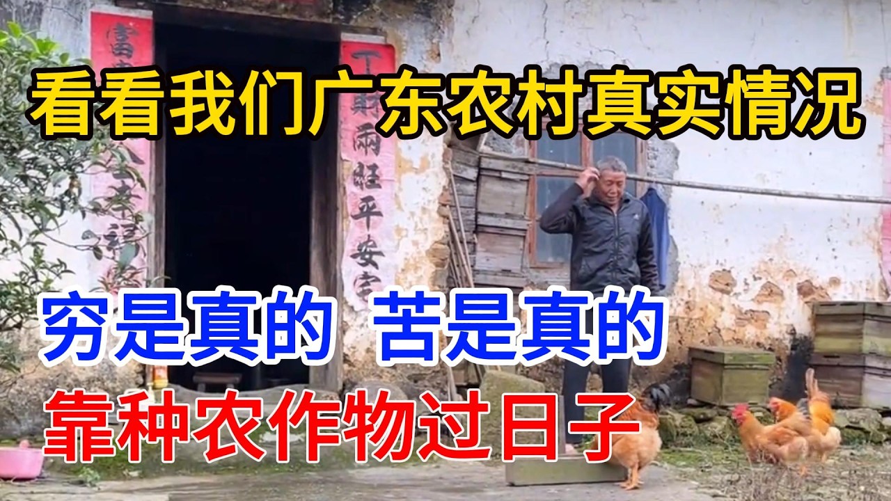 九歌：看看我們村莊到底有多穷！有人說是世外桃源，有人說是窮鄉僻壤 ，窮是真的，苦是真的，山清水秀，空氣清新，不過很快成為無人村落了 #廣東農村#農村生活#農村#農民