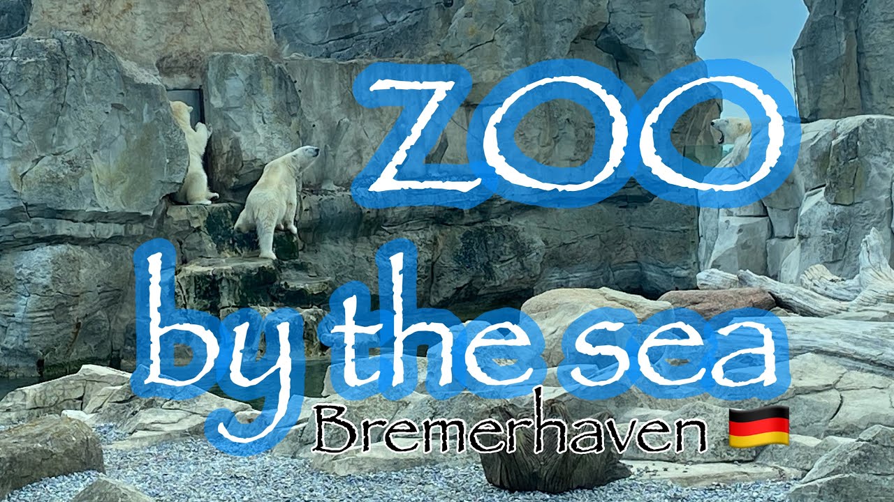 **Top Attraction** Zoo by the Sea Bremerhaven 🇩🇪 (Zoo am Meer)