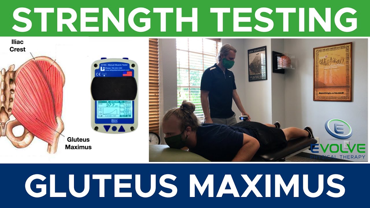Gluteus Maximus | Strength Testing with a Hand Held Dynamometer