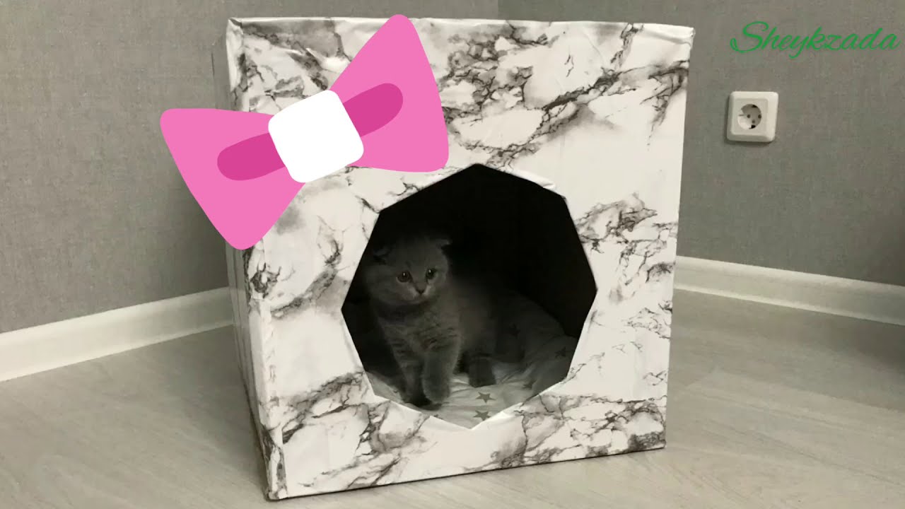 DIY: Домик для кошки за 5 минут. Cat house. Pişik &uuml;&ccedil;&uuml;n ev. Kedi i&ccedil;in ev .
