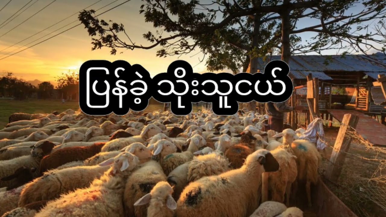 ပြန်ခဲ့ သိုးသူငယ် by ဆုန်သင်းပါရ် (Cover song) Guitar & mixing by Lwin Moe Thwin