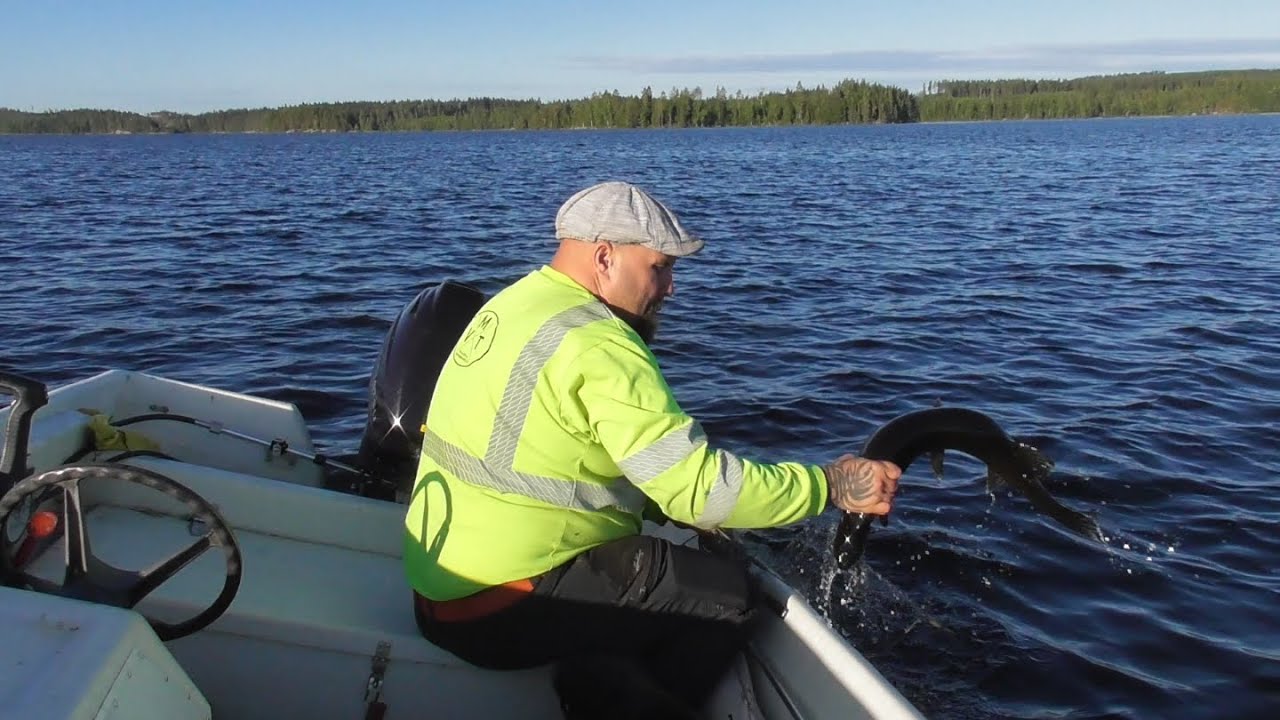 MUIKKUVERKOILLA 2