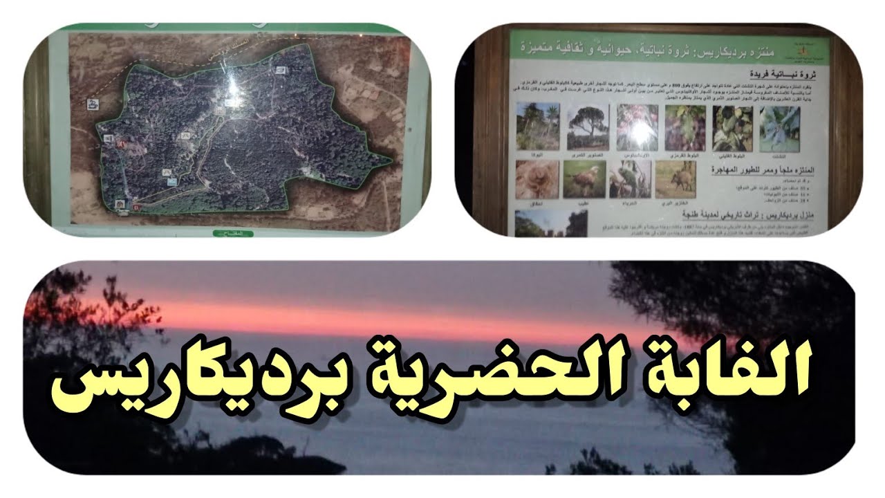 الغابة الحضرية برديكاريس / متنزه برديكاريس