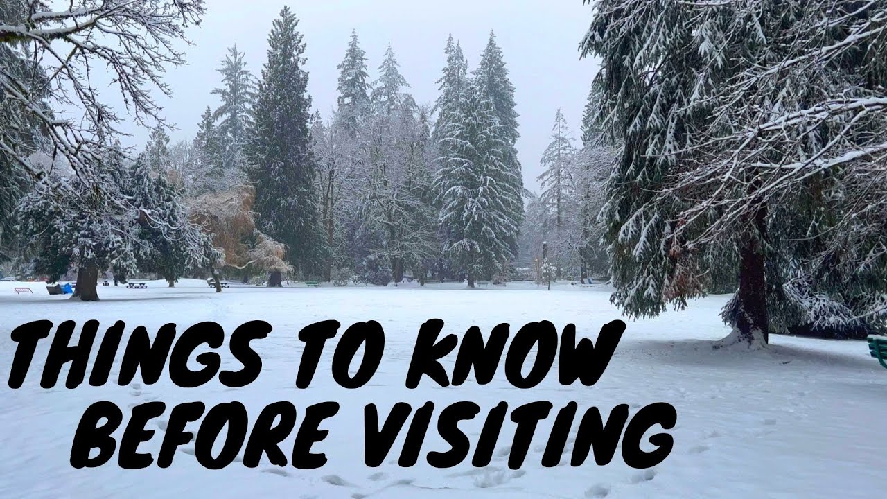 Surviving a Winter Snow Storm in Canada | Maple Ridge, BC
